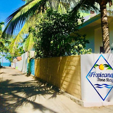 Tropicana Home Stay Arugam Bay Eksteriør billede