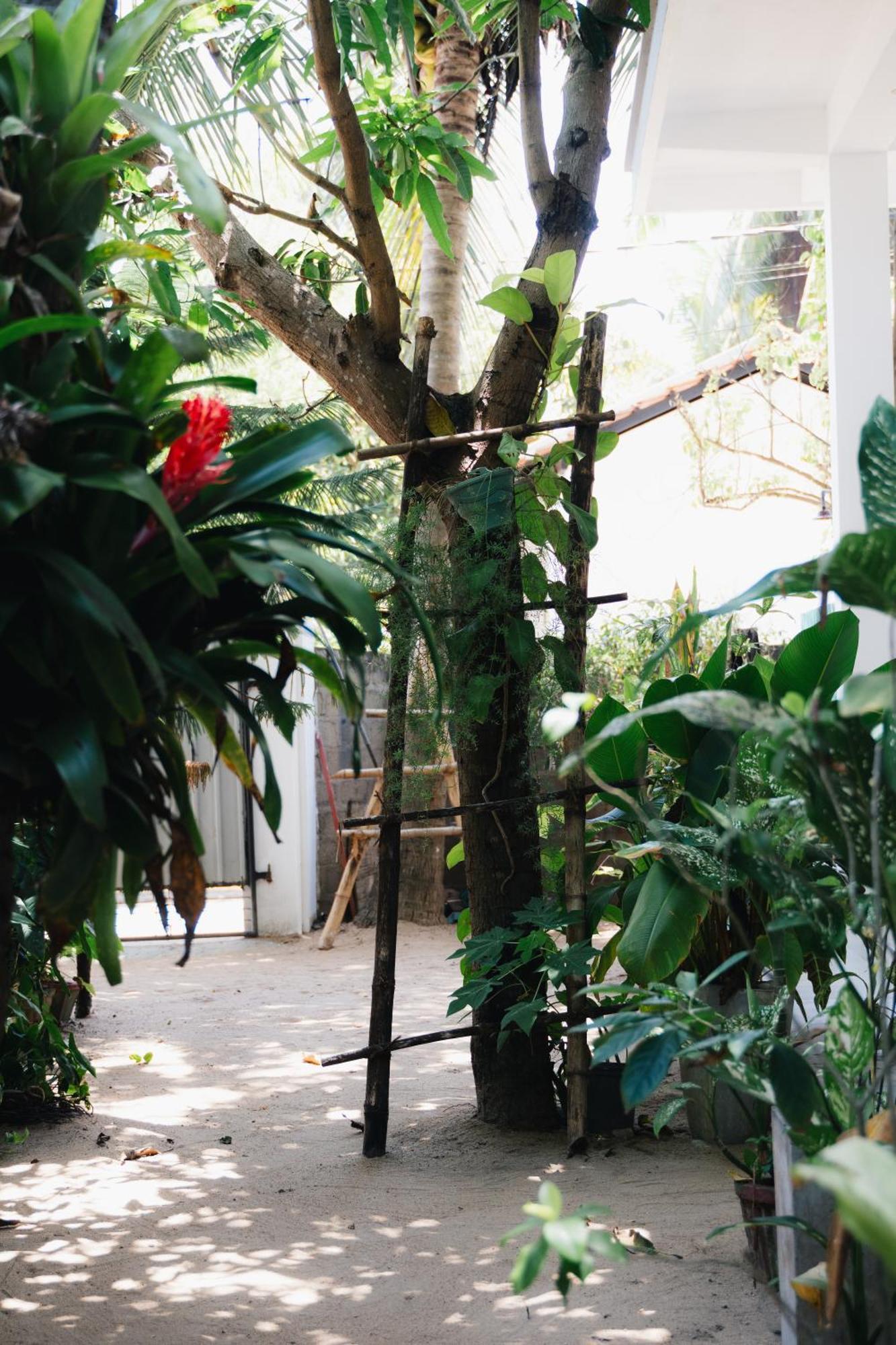 Tropicana Home Stay Arugam Bay Eksteriør billede