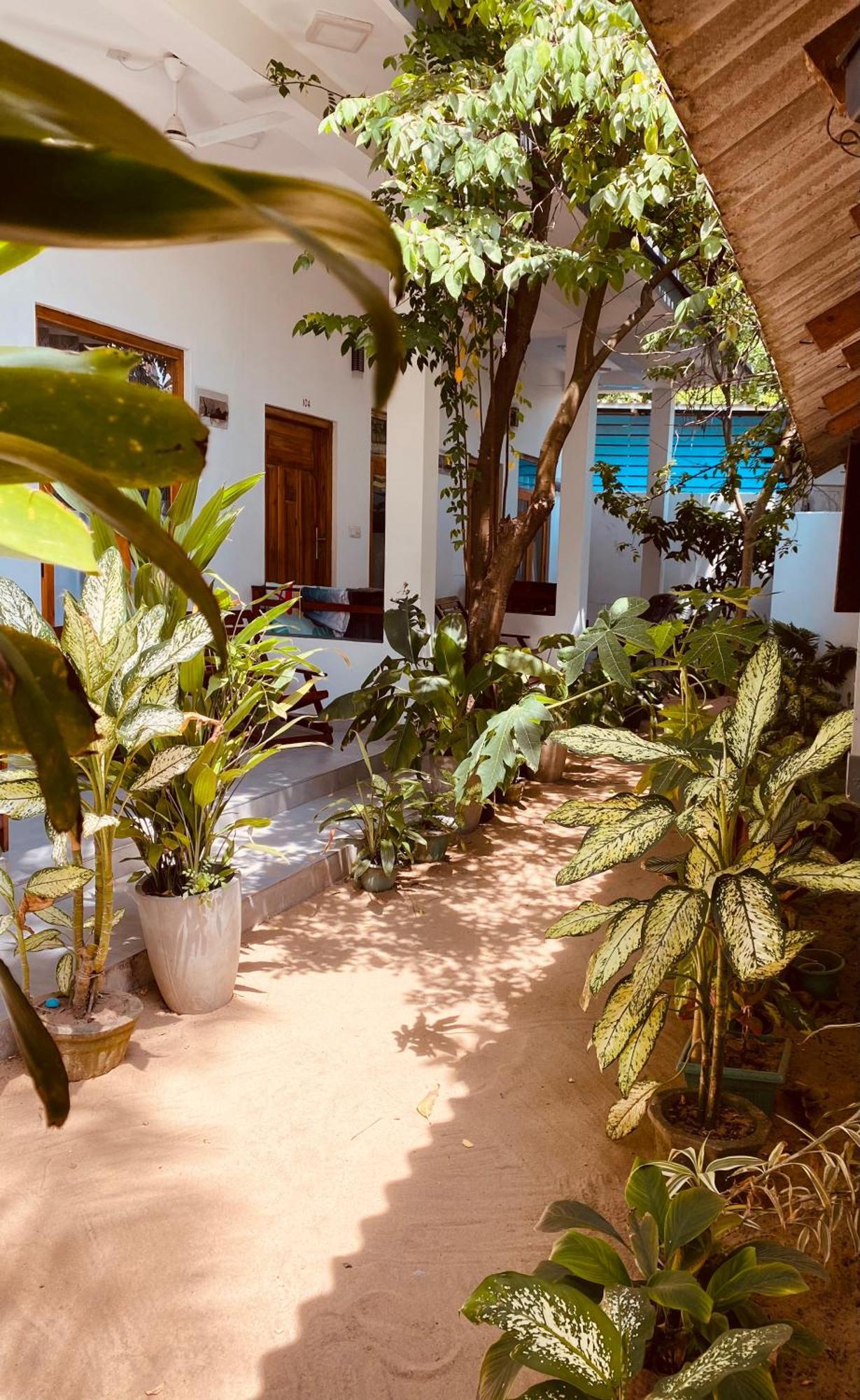 Tropicana Home Stay Arugam Bay Eksteriør billede